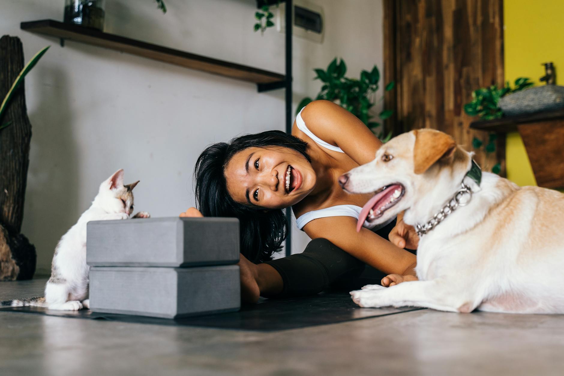 woman Play with Dog and Cat